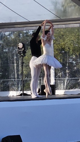 danseurs__